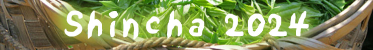 Shincha 2023
