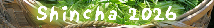 Shincha 2026